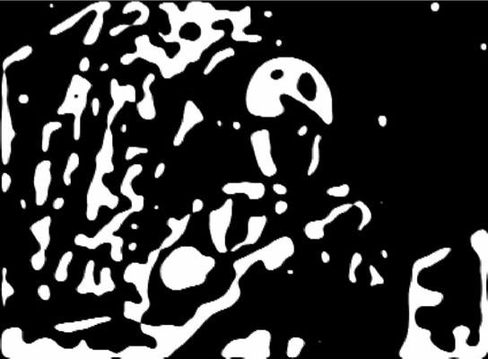 Loading Image