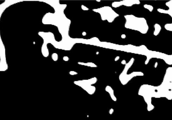 Loading Image