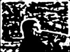 Tom woodcut1