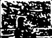 Tom woodcut4