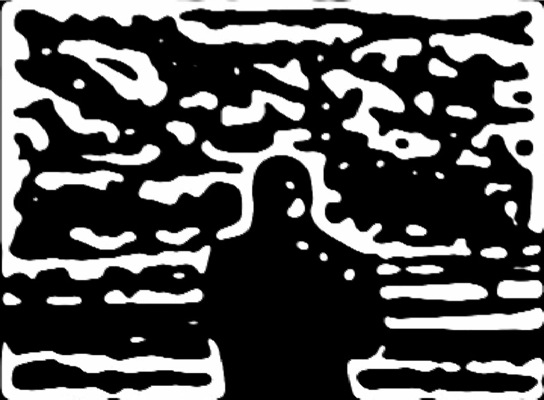 Loading Image