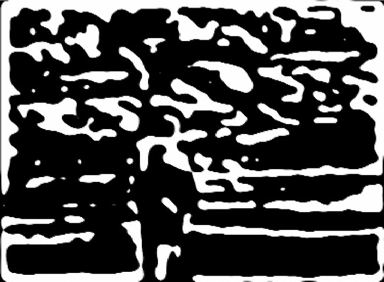 Loading Image